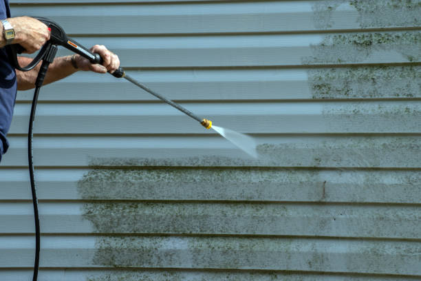 Best Deck Cleaning Services  in Martsville, IN